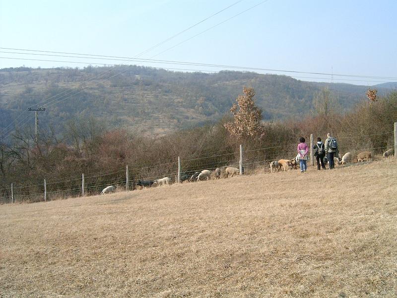 20110312 076.jpg
